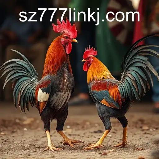 Exploring the Controversial World of Cockfighting and the Role of sz777 link